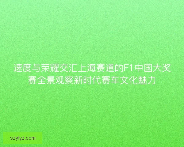 速度与荣耀交汇上海赛道的F1中国大奖赛全景观察新时代赛车文化魅力
