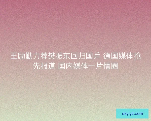 王励勤力荐樊振东回归国乒 德国媒体抢先报道 国内媒体一片懵圈