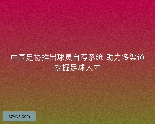 中国足协推出球员自荐系统 助力多渠道挖掘足球人才